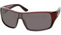 Shiny Tortoise / Gray COSTA 400 Lens